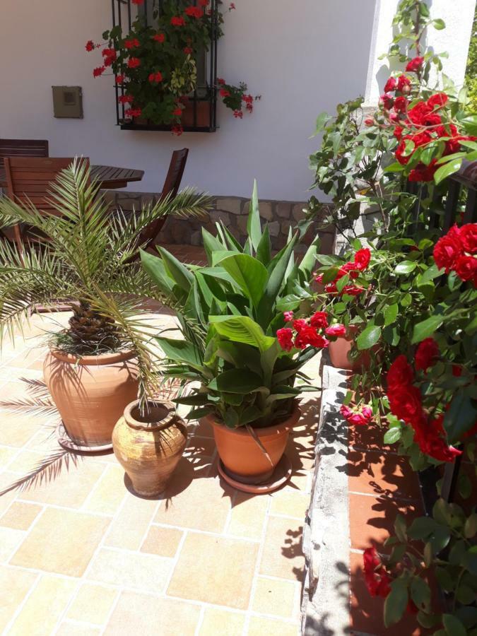 Atalaya A Pie De Playa Villa Конил-де-ла-Фронтера Екстериор снимка